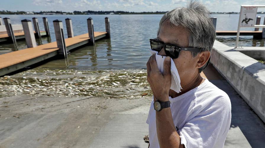 Red tide disrupts tourism along Florida's Gulf Coast