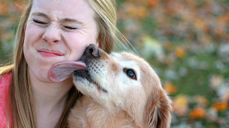 what does a dog licking you mean