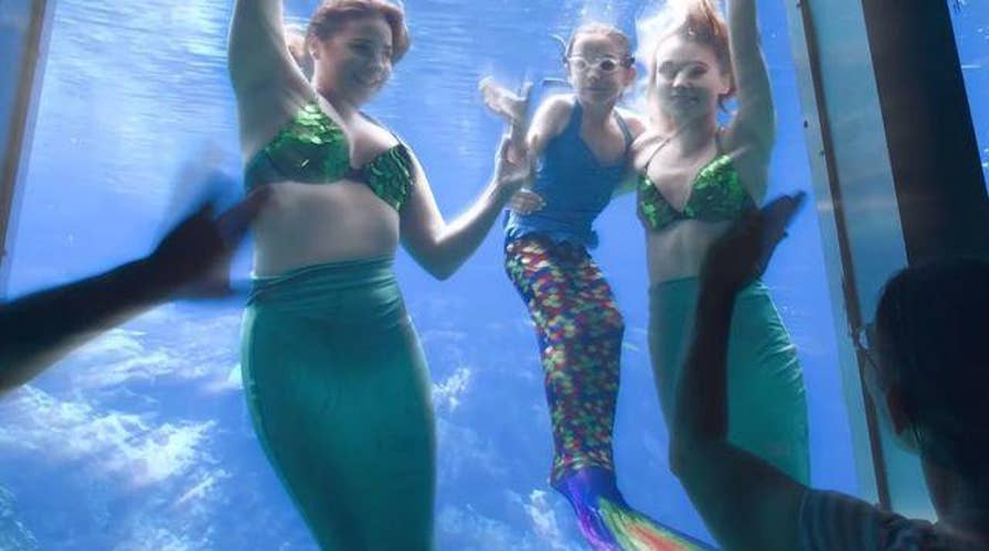 Critically ill six-year-old get her wish to swim with mermaids