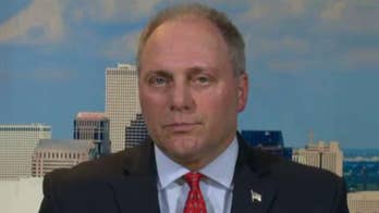 Rep. Steve Scalise on 2018 midterms: Don't let Democrats reverse our success