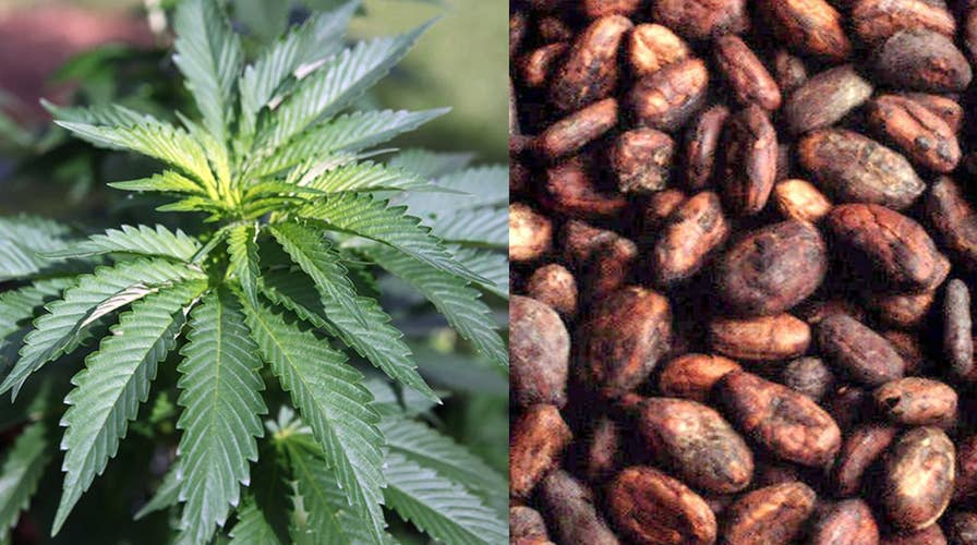 Cannabis-infused coffee: Will it go mainstream?