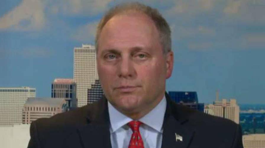 Scalise on midterms: Don’t let Democrats reverse our success