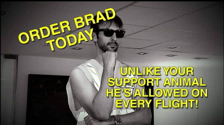 Gutfeld Support Animal Insider