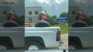 Florida woman in wheelchair spotted riding in pickup bed - Fox News