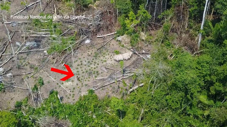Rare drone footage shows Amazon tribe in their camp