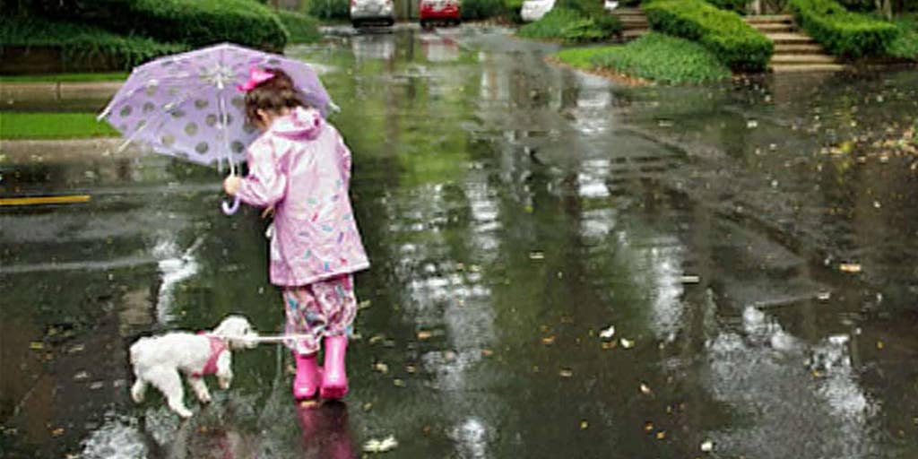 Mom reported for letting her 8-year-old walk the dog | Fox News Video