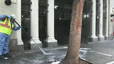 San Francisco dubbed 'doo-doo capital' of the country, amid spike in waste complaints