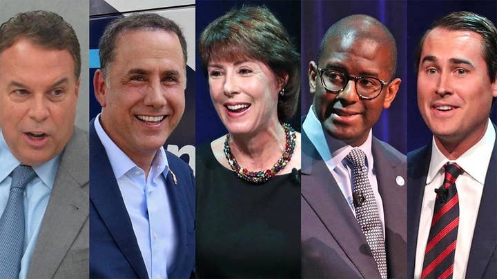 Crowded Dem field fights for Florida governor nomination