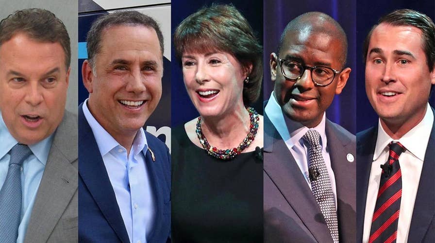 Crowded Dem field fights for Florida governor nomination