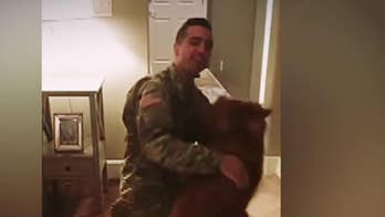 Army soldier returning home surprises dog with 'What the Fluff Challenge' in adorable video