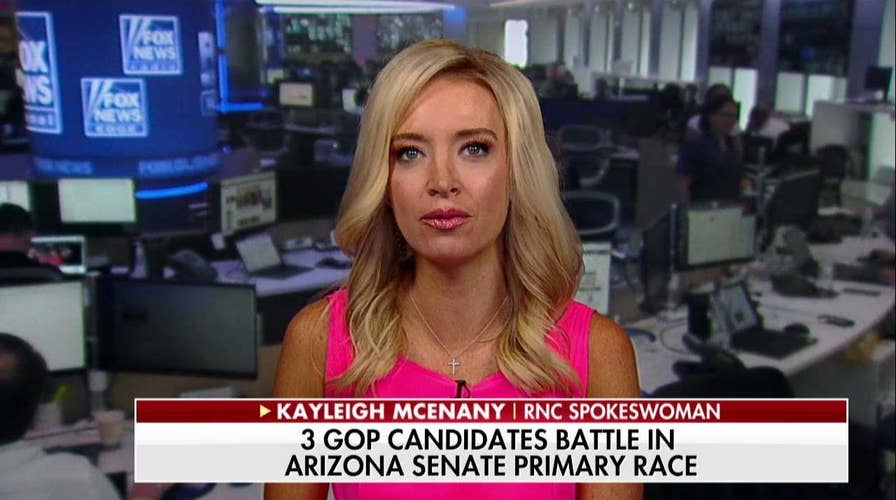 McEnany: Democrats Are Divided and It's Going to Hurt Them in November