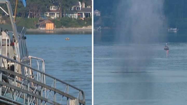 Mysterious mine floating in Puget Sound detonated 