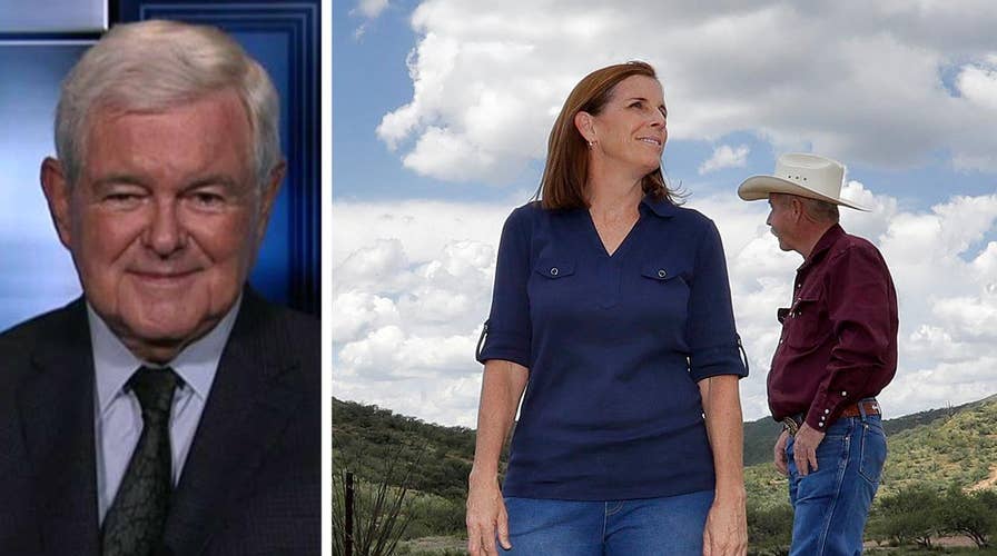 Gingrich: Primaries have set stage for red wave in November