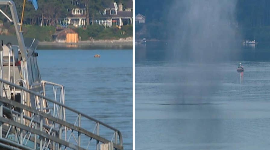 Mysterious mine floating in Puget Sound detonated 