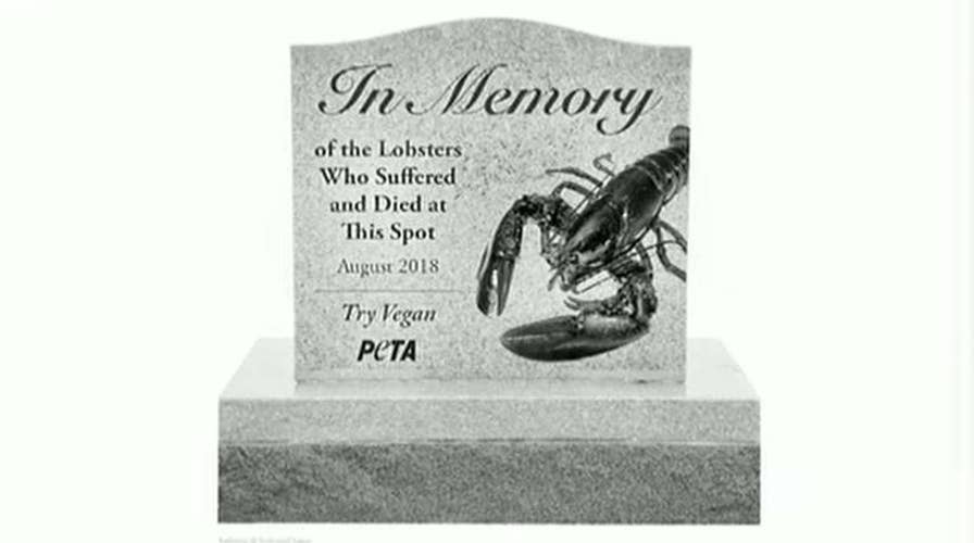 PETA wants monument for lobsters killed in Maine
