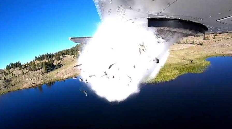 Fish populations in Utah lakes are being restocked by plane