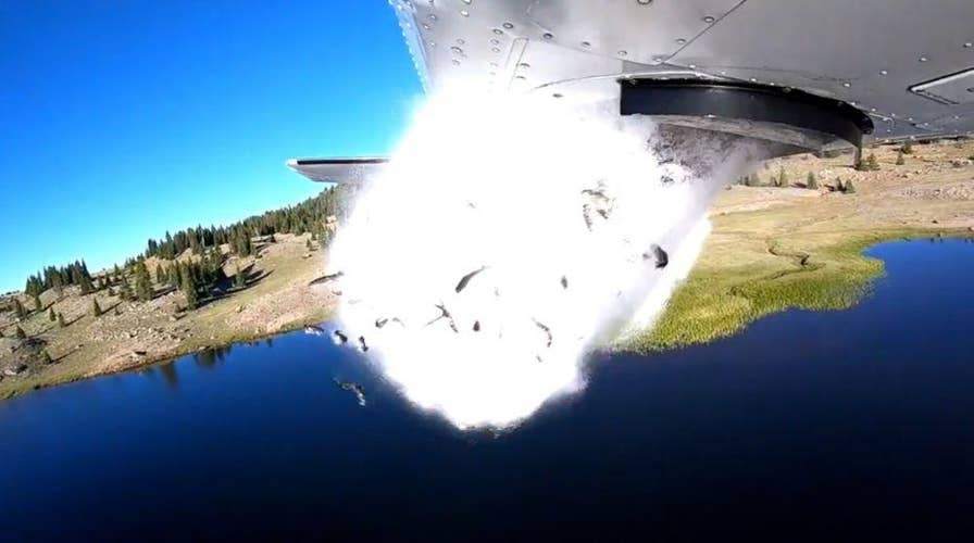 Fish are raining from the sky over Utah lakes