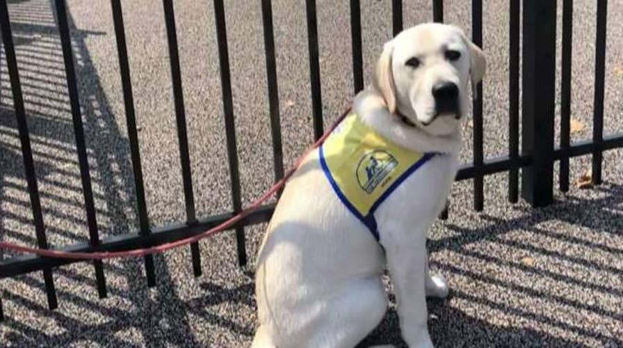 Spike is back from vacation