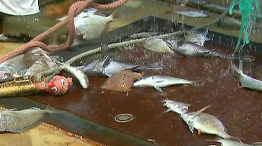 Will Congress provide relief for commercial fishermen?