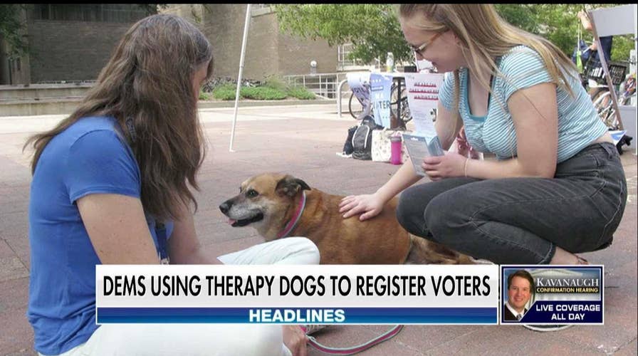 Liberal Group Uses Therapy Dogs to Encourage Young People to Register to Vote