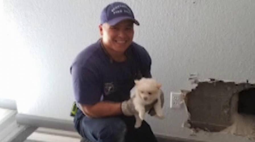 First responders save trapped puppy from chimney