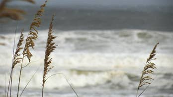 Many vacationers to ride out Gordon despite deadly 2017 hurricane season