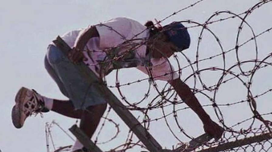 Why are illegal immigrants opting out of welfare programs?