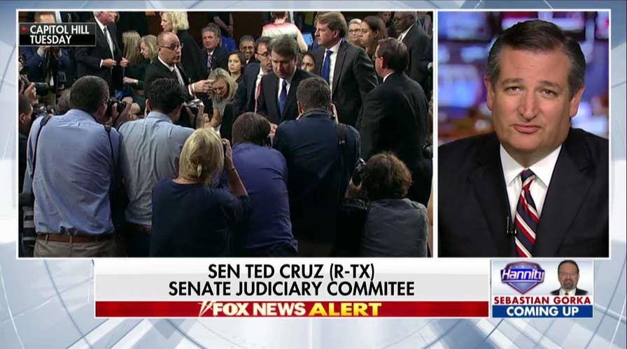 Cruz: Dems Haven't 'Laid a Single Glove' on Kavanaugh