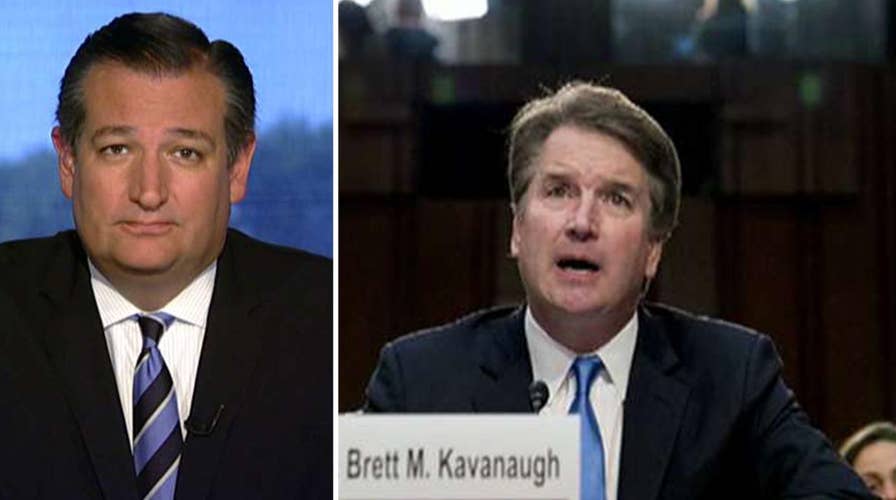 Cruz: Dems want to use courts to force their radical agenda