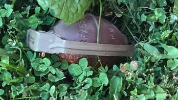 Live grenade discovered at South Dakota restaurant during remodeling