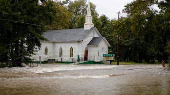 Hurricane Florence spurs truck driver to rescue dozens of dogs, cats from floods on school bus