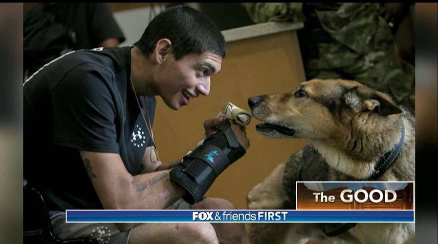 Wounded Soldier & Injured Military Dog Each Awarded Purple Heart, Reunited in Texas