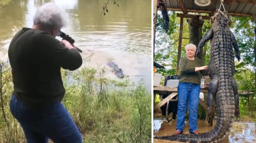 Grandma kills gator she claims killed her miniature horse
