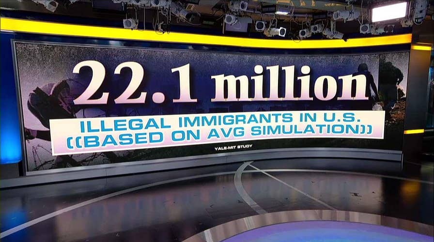 Homan: Yale Study on Illegal Immigrants Gives Trump 'More Ammunition' to Push Border Reform