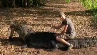 Tourist’s crocodile stunt angers Australian officials - Fox News