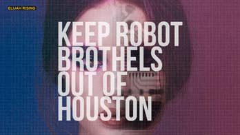'Robot sex brothel' slated to open is not wanted, Houston's mayor says