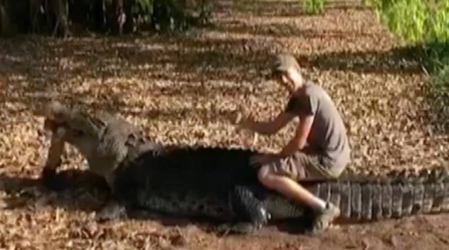 Tourist’s crocodile stunt angers Australian officials