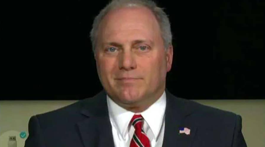 Scalise: Democrats have no agenda except to resist Trump