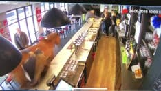 Horse wanders into French bar after breaking loose at racetrack