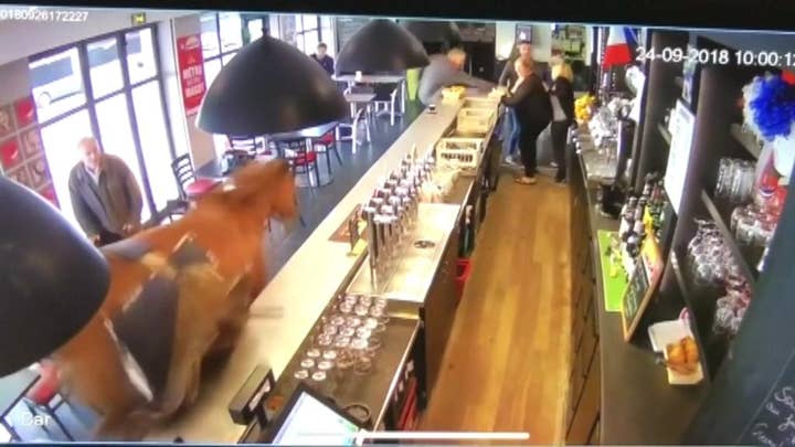 A horse walks into a bar…