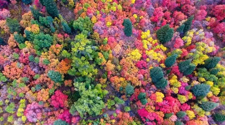 Drone captures incredible fall foliage in Utah