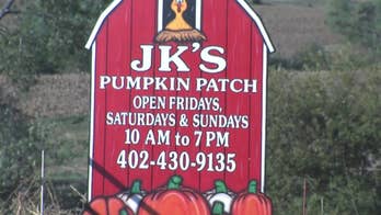 Nebraska boy, 2, killed after ‘tragic bounce pad incident,’ sheriff says