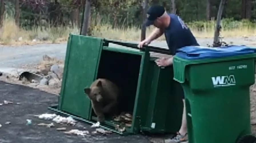 Firefighters help free bear cubs stuck in dumpster