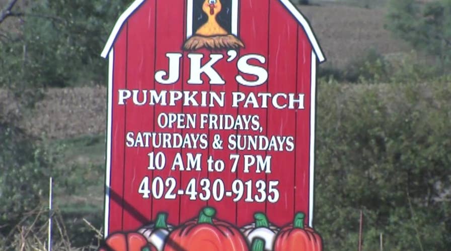Toddler dies from pumpkin patch accident in Nebraska