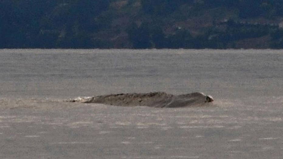 Canada’s Loch Ness Monster, The Legendary Ogopogo Lake Monster, Caught ...