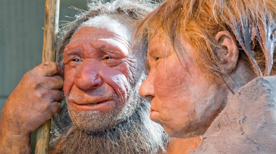 Bones reveal Neanderthal child was eaten by large bird