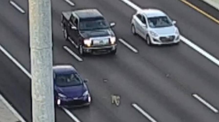 Dog loose on highway scrambles evening commute