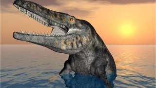 85 million-year-old sea monster found in Kansas - Fox News