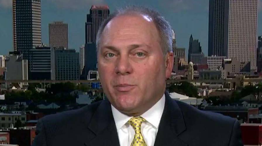 Scalise: Dems' call for violence a threat to our democracy<br>