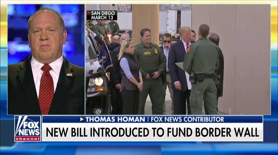 Homan: 'I'm Losing Faith' in Passage of Border Wall Funding After Midterms